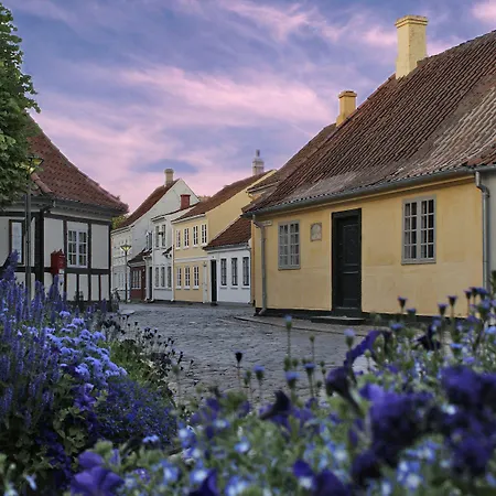 Nattergalen Hotel Odense